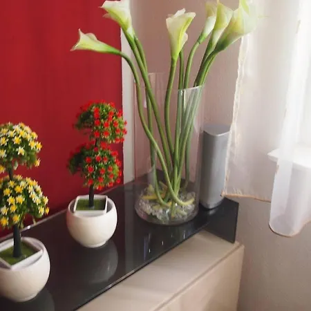 Villa Meri Very Central And Beautiful Apartment * Split